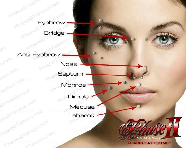 Paris Ink The Facial Piercing Chart Include Eyebrow Cheek Nose Paris Ink The Facial Piercing Chart Include Eyebrow Cheek Nose